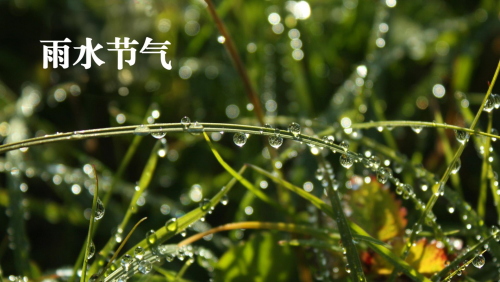 雨水节气_副本.png