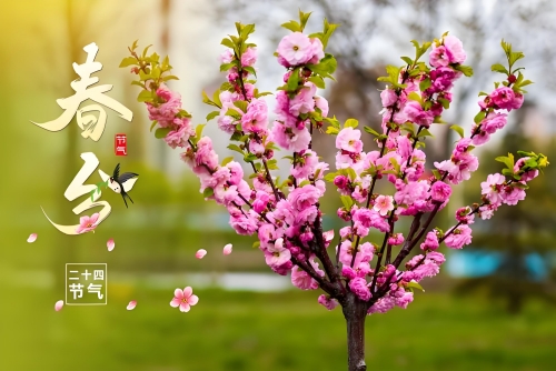 春分_副本.jpg